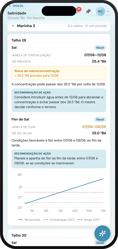 The Water Co-pilot forecast on the SalOS mobile app — crystallization windows, °Bé prediction and over-concentration warnings per talho